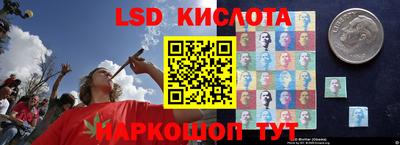 бутират Сланцы