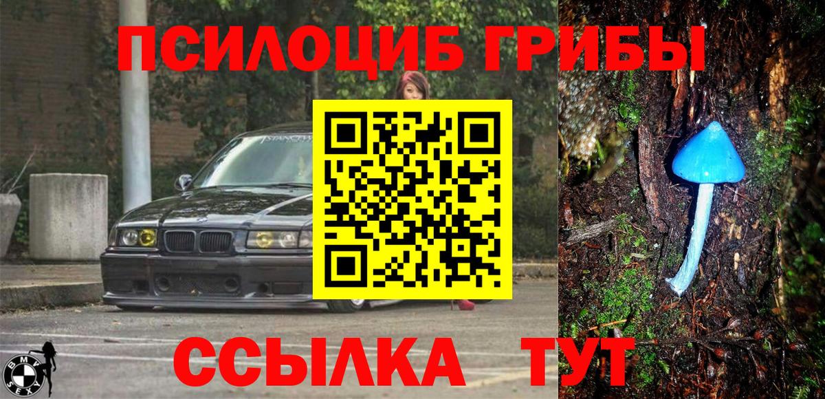 Реутов  купить закладку  Вход с VPN  Псилоцибиновые грибы Magic Shrooms 